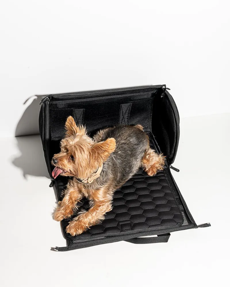 All-Travel Pet Carrier in Black