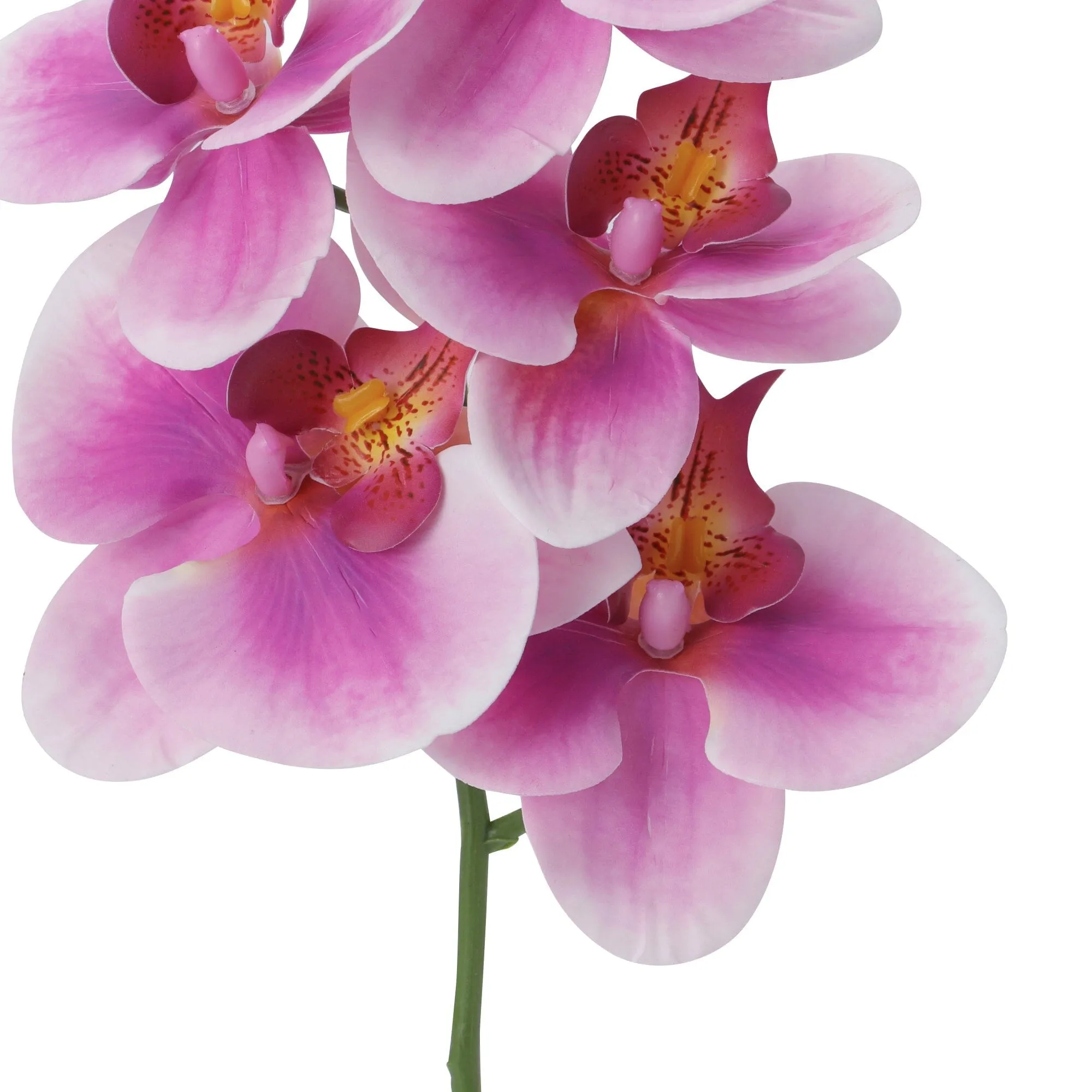 Art Flower Real Touch Phalaenopsis Purple