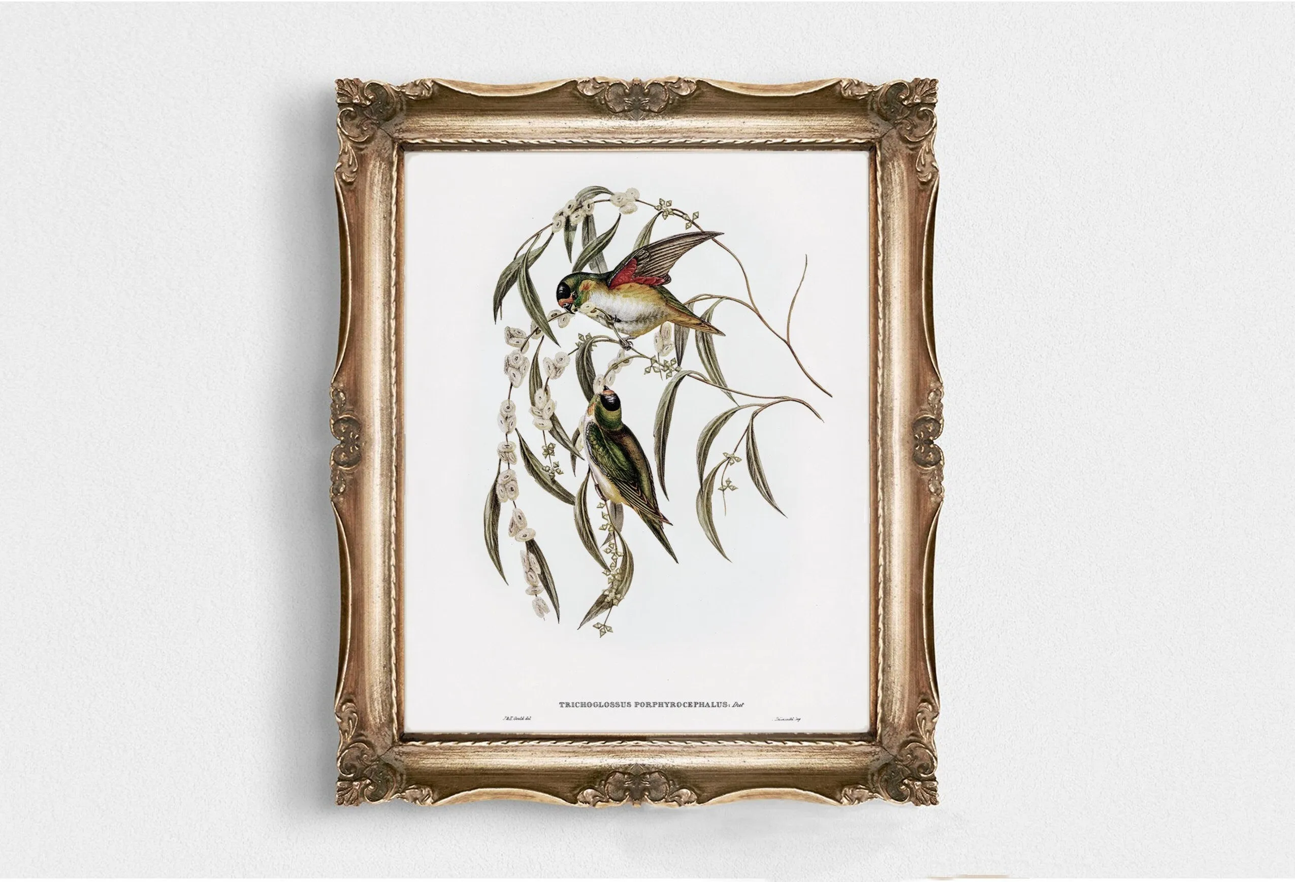 Vintage Bird Wall Art