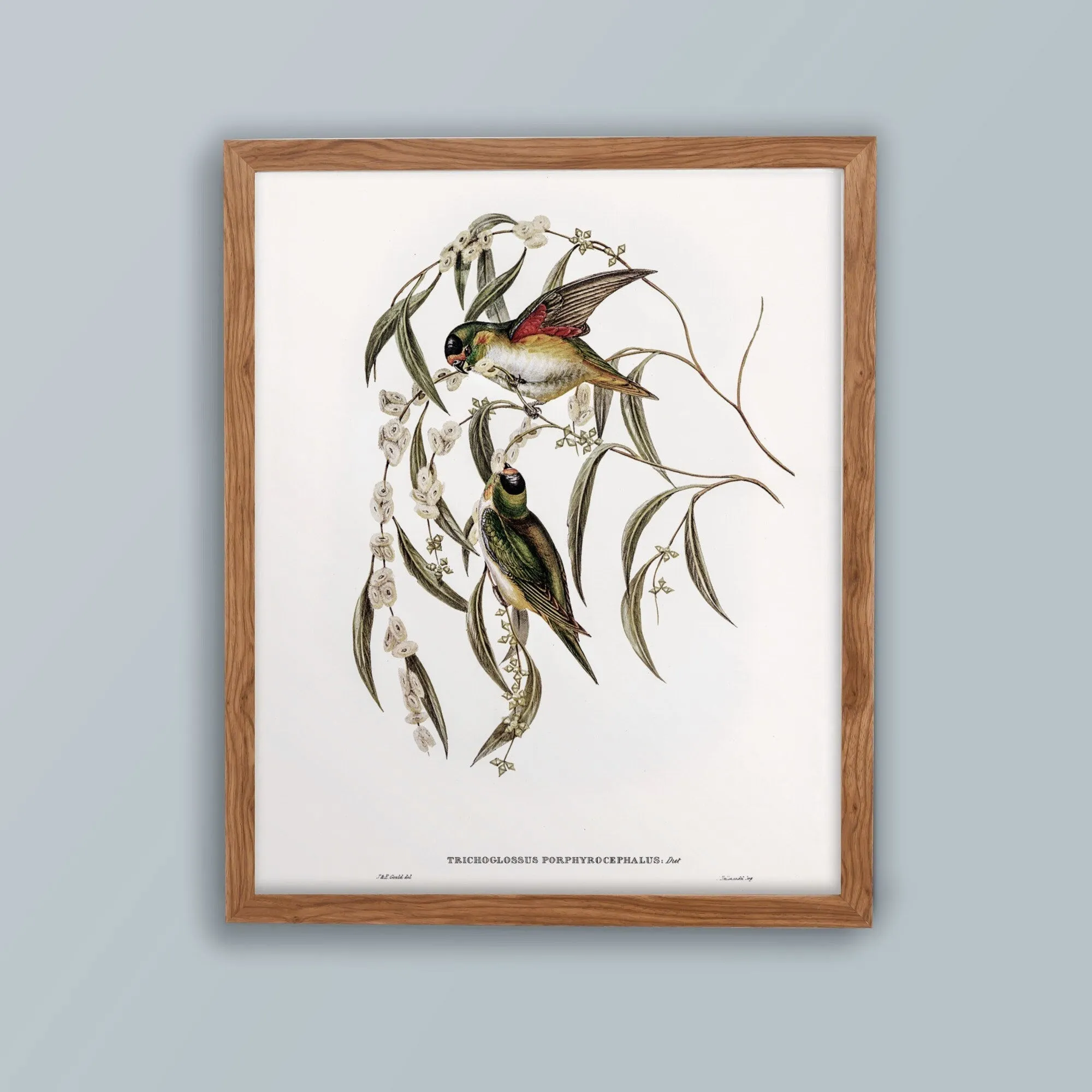 Vintage Bird Wall Art