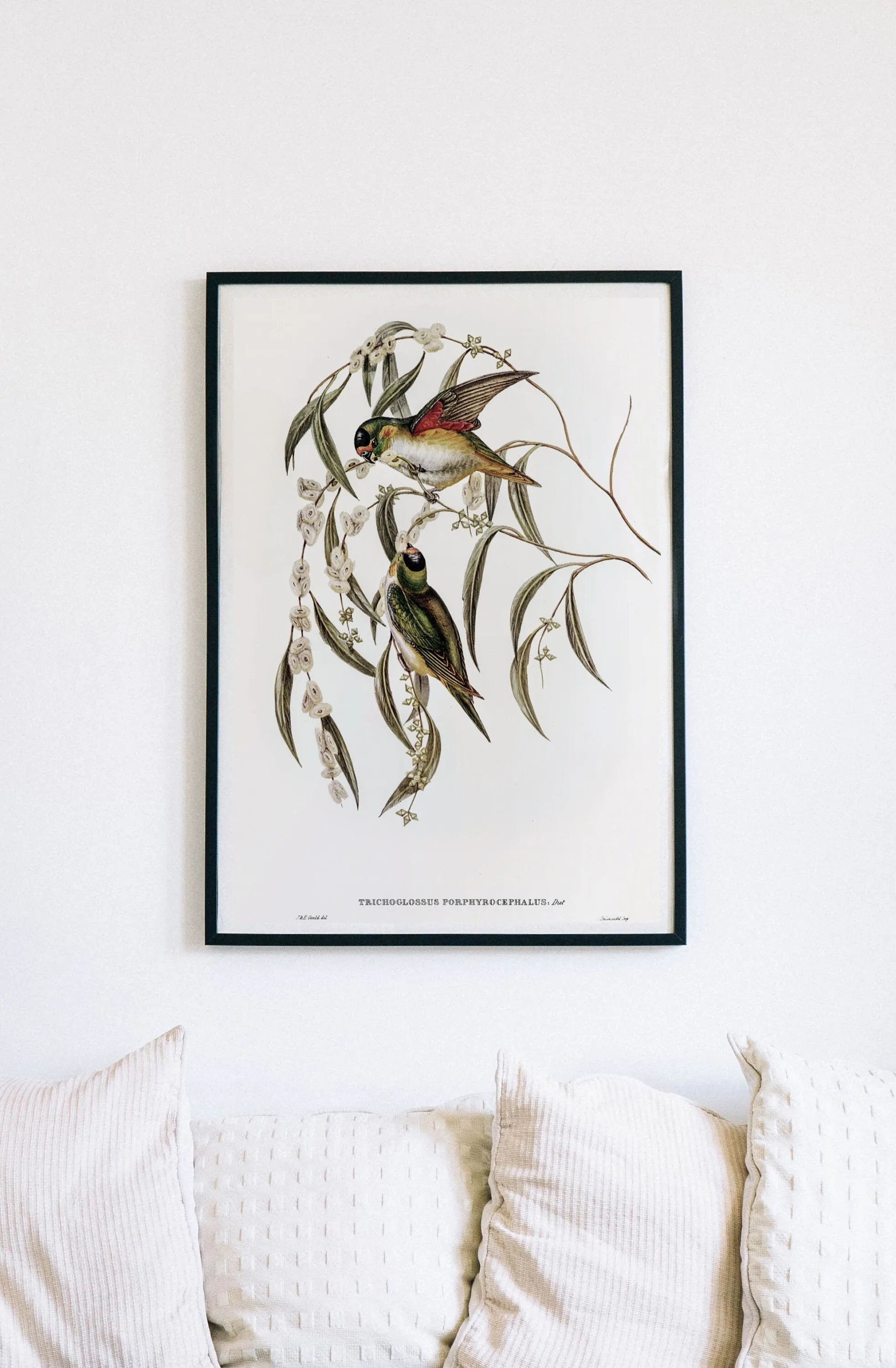 Vintage Bird Wall Art