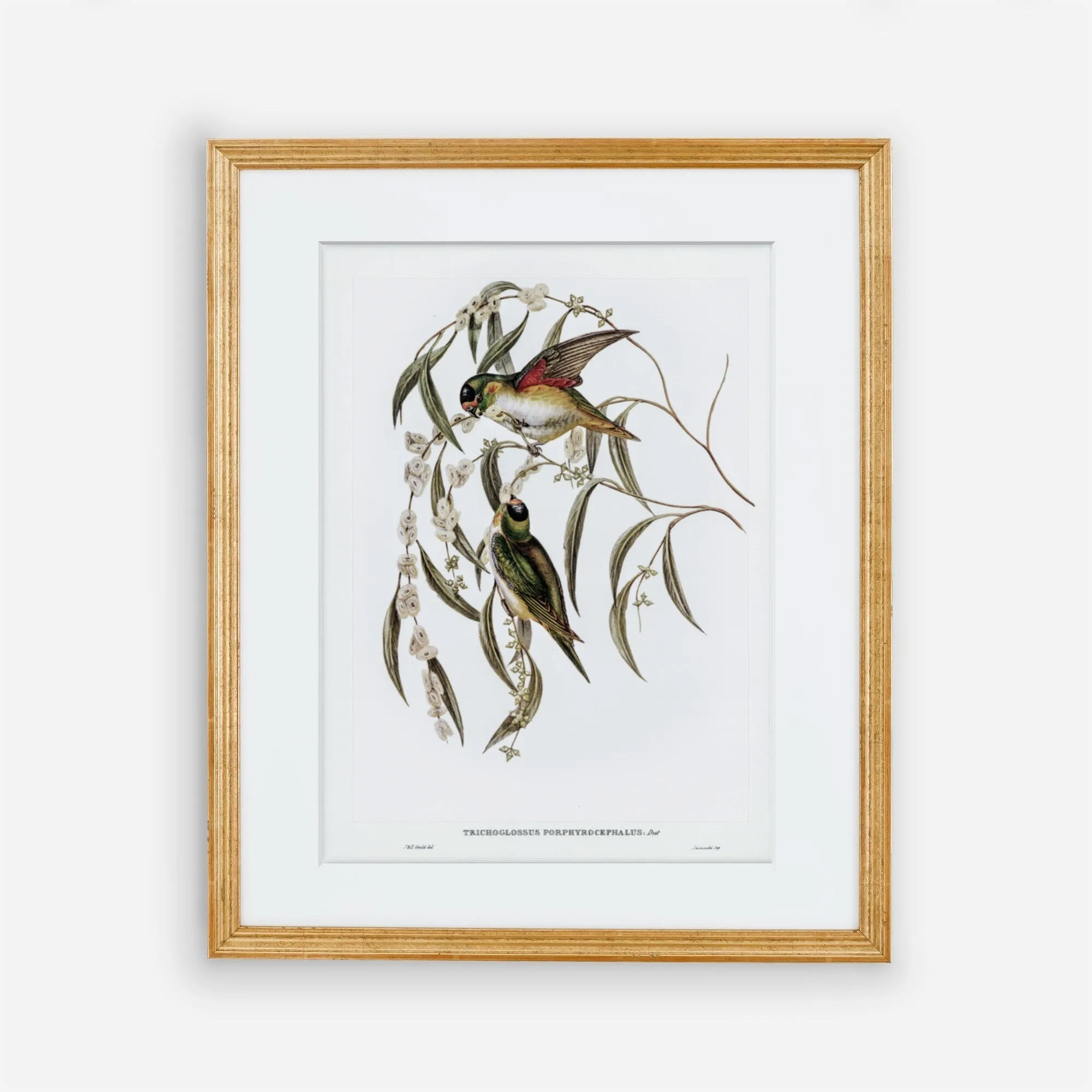 Vintage Bird Wall Art