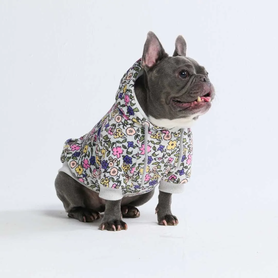 Vintage Flower Dog Hoodie - Light Grey (2)